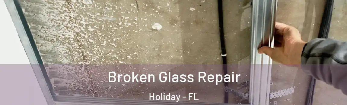 Broken Glass Repair Holiday - FL