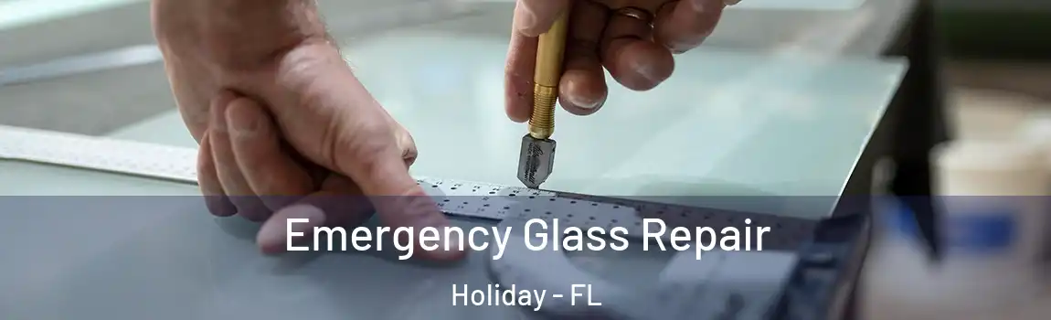 Emergency Glass Repair Holiday - FL