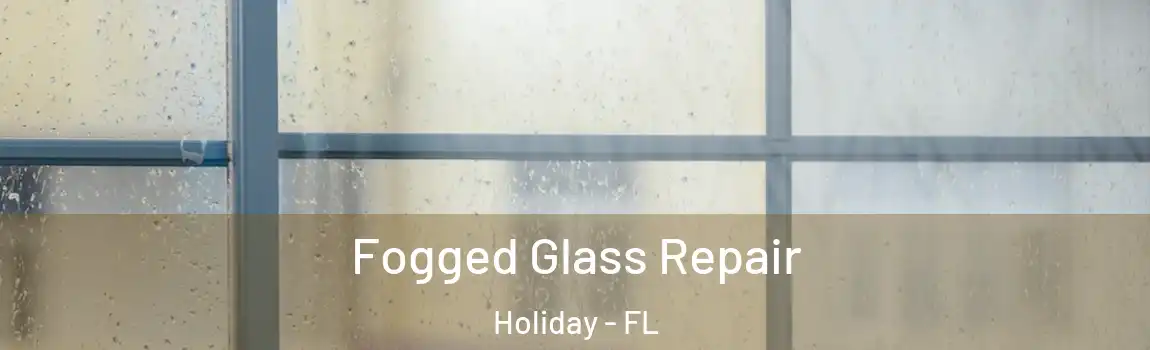 Fogged Glass Repair Holiday - FL
