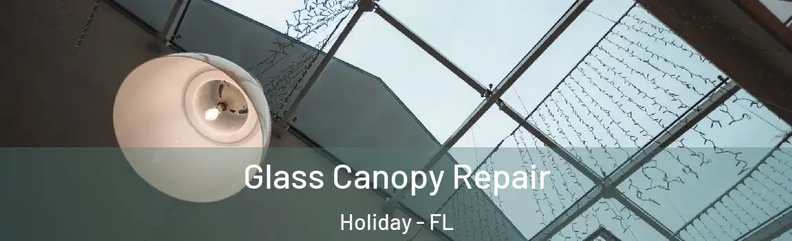 Glass Canopy Repair Holiday - FL
