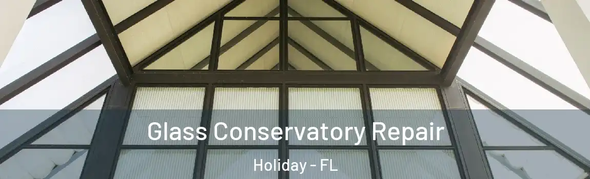Glass Conservatory Repair Holiday - FL