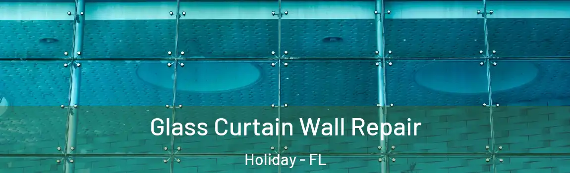 Glass Curtain Wall Repair Holiday - FL