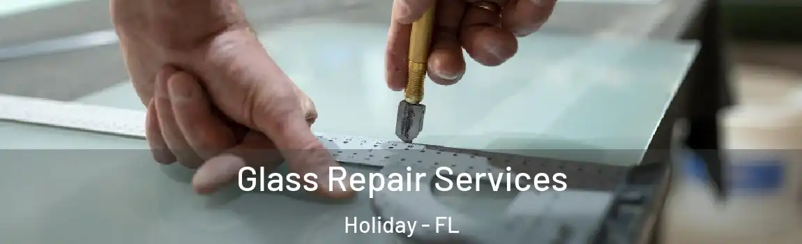 Glass Repair Services Holiday - FL