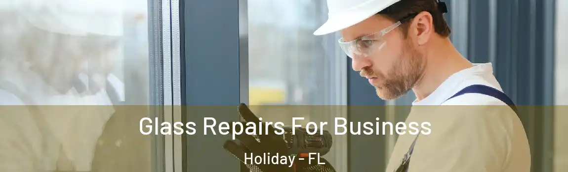Glass Repairs For Business Holiday - FL