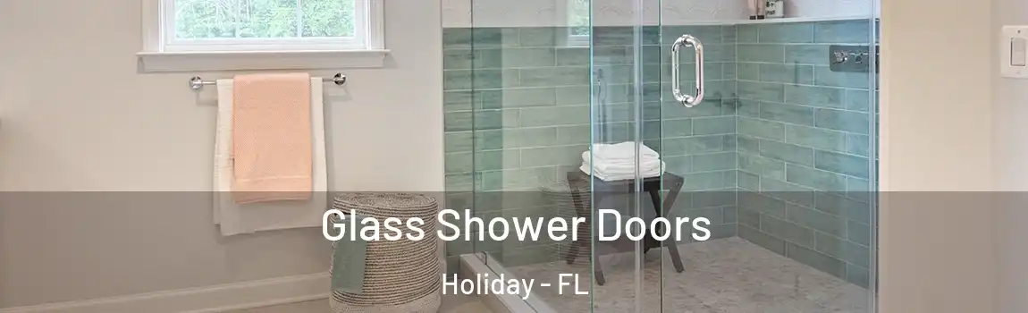 Glass Shower Doors Holiday - FL