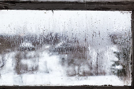Defogging Double Pane Windows in Holiday, FL