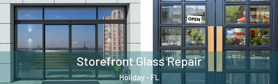 Storefront Glass Repair Holiday - FL