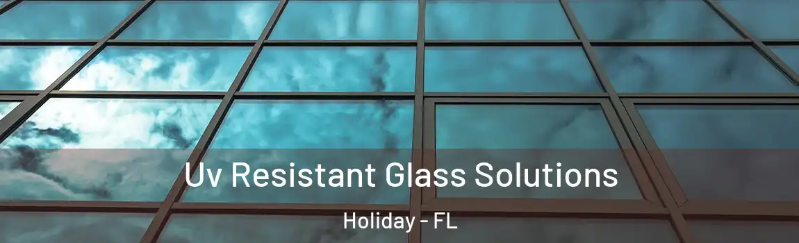 Uv Resistant Glass Solutions Holiday - FL