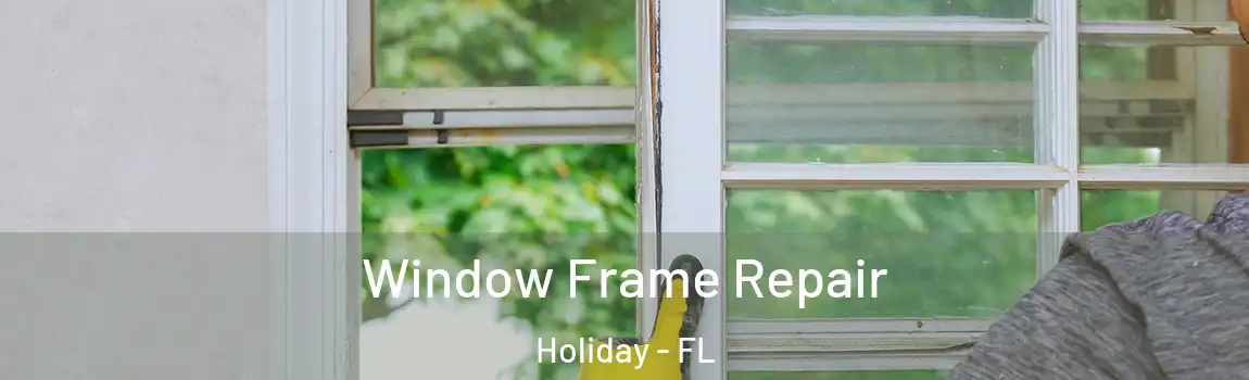 Window Frame Repair Holiday - FL