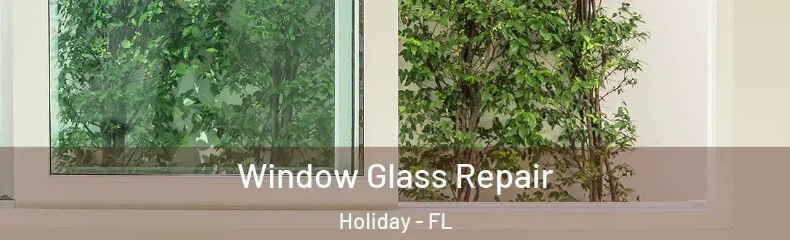 Window Glass Repair Holiday - FL